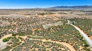 Aerial (1)