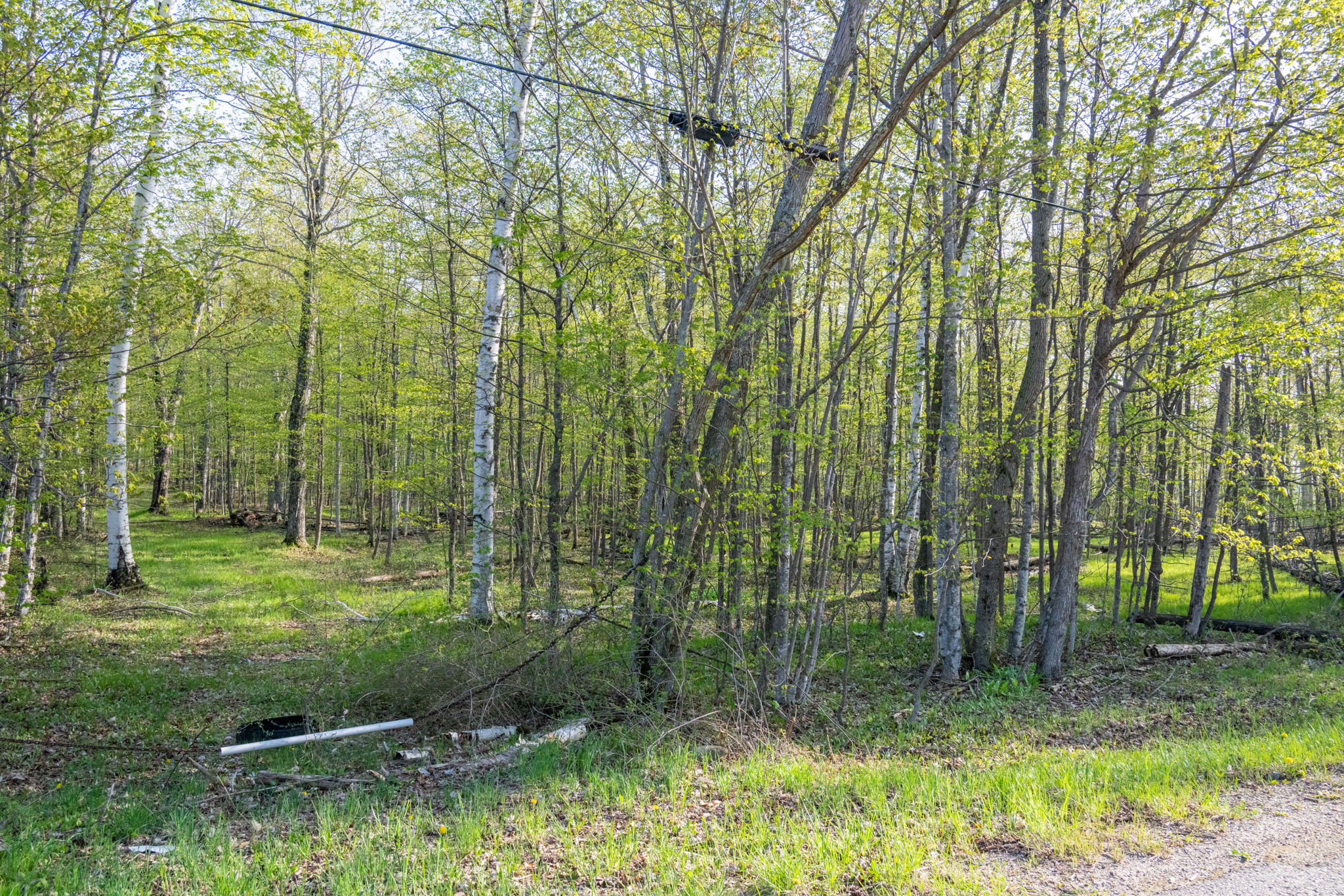 High Plateau Woods Vacant Lots Baileys Harbor Door County Wisconsin-12