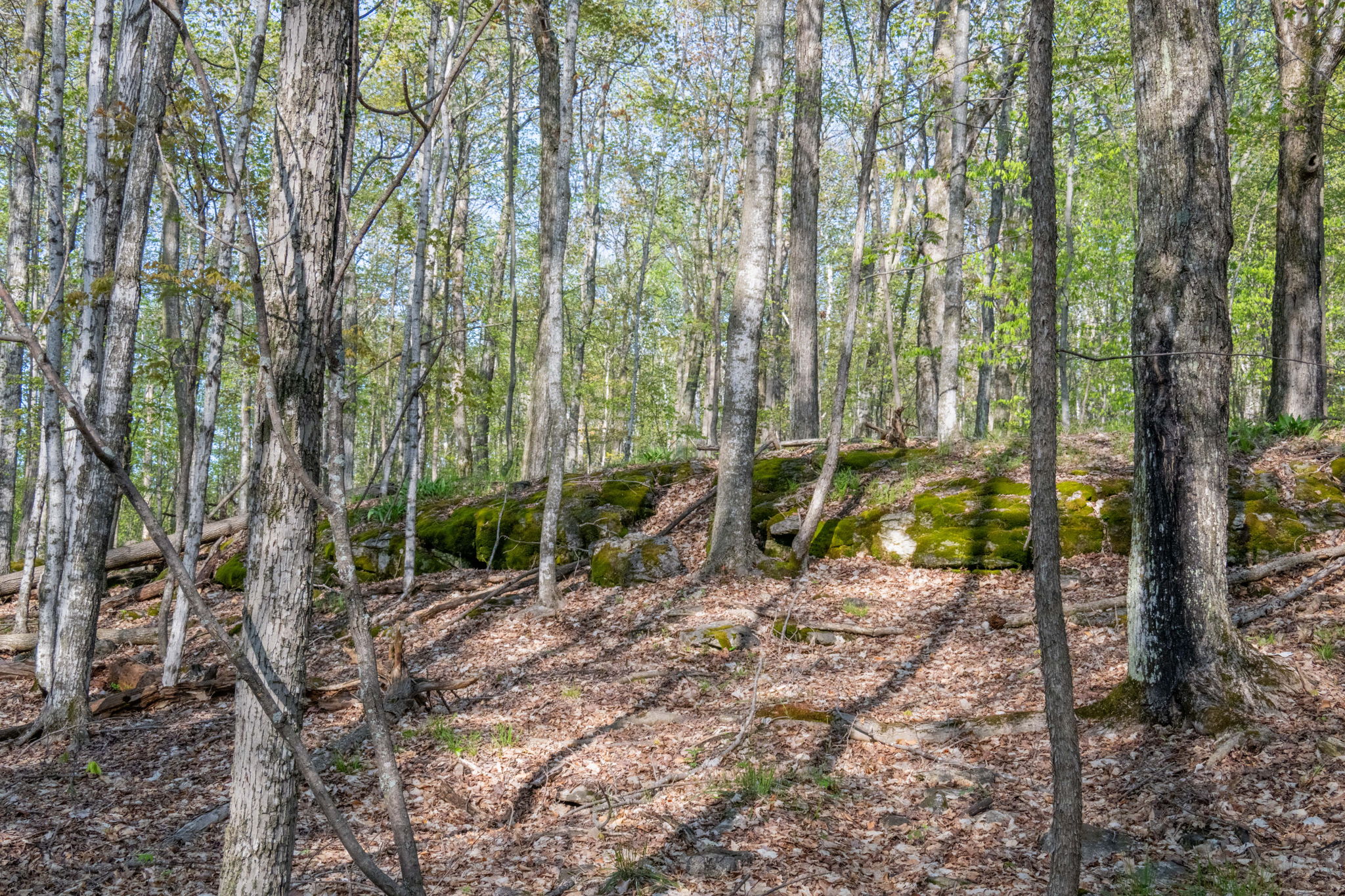 High Plateau Woods Vacant Lots Baileys Harbor Door County Wisconsin-15