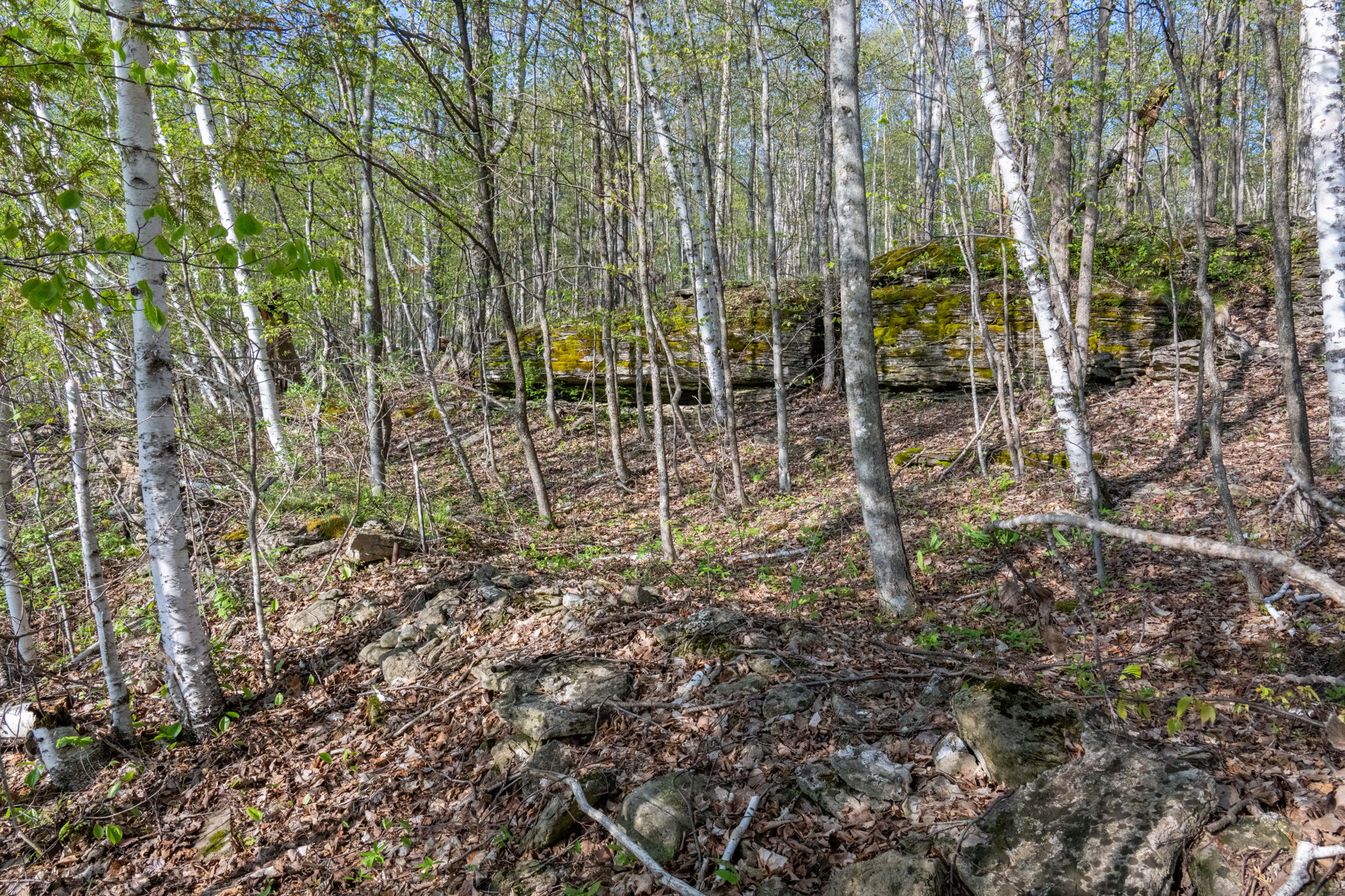 High Plateau Woods Vacant Lots Baileys Harbor Door County Wisconsin-20