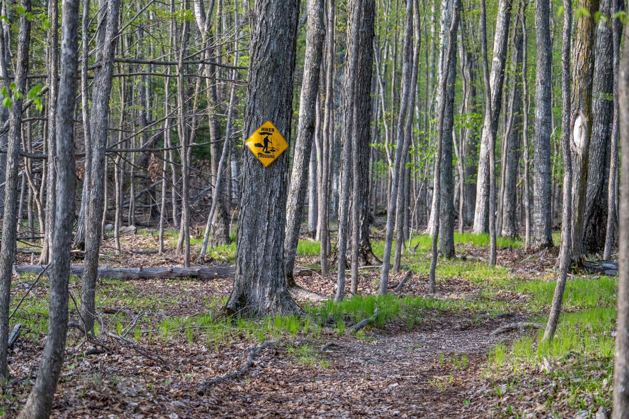 High Plateau Woods Vacant Lots Baileys Harbor Door County Wisconsin-21