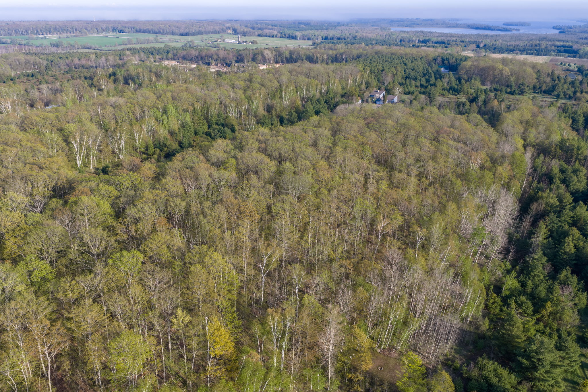 High Plateau Woods Vacant Lots Baileys Harbor Door County Wisconsin-48