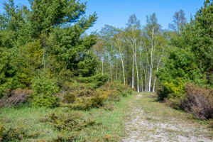 High Plateau Woods Vacant Lots Baileys Harbor Door County Wisconsin-2