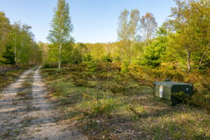 High Plateau Woods Vacant Lots Baileys Harbor Door County Wisconsin-4