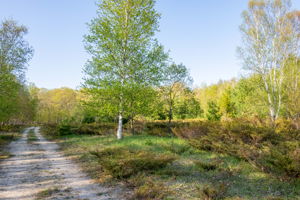 High Plateau Woods Vacant Lots Baileys Harbor Door County Wisconsin-5
