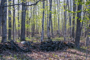 High Plateau Woods Vacant Lots Baileys Harbor Door County Wisconsin-6