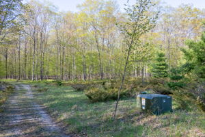 High Plateau Woods Vacant Lots Baileys Harbor Door County Wisconsin-7