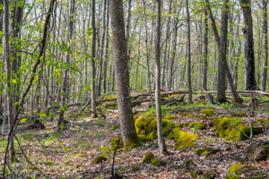 High Plateau Woods Vacant Lots Baileys Harbor Door County Wisconsin-10