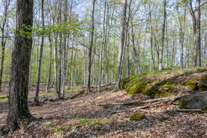 High Plateau Woods Vacant Lots Baileys Harbor Door County Wisconsin-11