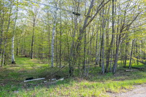 High Plateau Woods Vacant Lots Baileys Harbor Door County Wisconsin-12