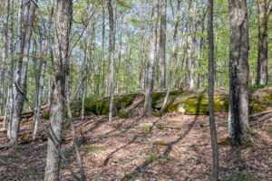 High Plateau Woods Vacant Lots Baileys Harbor Door County Wisconsin-15