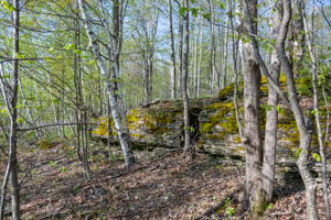 High Plateau Woods Vacant Lots Baileys Harbor Door County Wisconsin-16