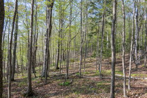 High Plateau Woods Vacant Lots Baileys Harbor Door County Wisconsin-17