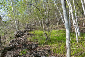 High Plateau Woods Vacant Lots Baileys Harbor Door County Wisconsin-18