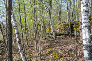 High Plateau Woods Vacant Lots Baileys Harbor Door County Wisconsin-19