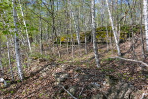 High Plateau Woods Vacant Lots Baileys Harbor Door County Wisconsin-20
