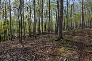 High Plateau Woods Vacant Lots Baileys Harbor Door County Wisconsin-22