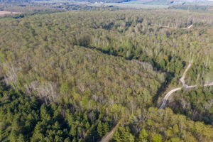 High Plateau Woods Vacant Lots Baileys Harbor Door County Wisconsin-30