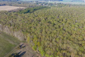 High Plateau Woods Vacant Lots Baileys Harbor Door County Wisconsin-33