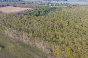 High Plateau Woods Vacant Lots Baileys Harbor Door County Wisconsin-34