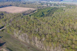High Plateau Woods Vacant Lots Baileys Harbor Door County Wisconsin-35