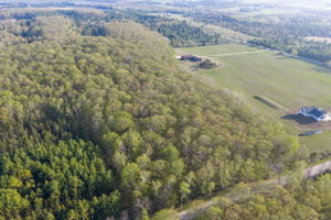 High Plateau Woods Vacant Lots Baileys Harbor Door County Wisconsin-38