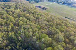 High Plateau Woods Vacant Lots Baileys Harbor Door County Wisconsin-58