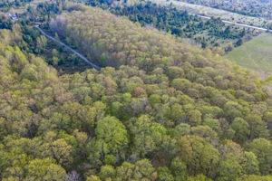 High Plateau Woods Vacant Lots Baileys Harbor Door County Wisconsin-62