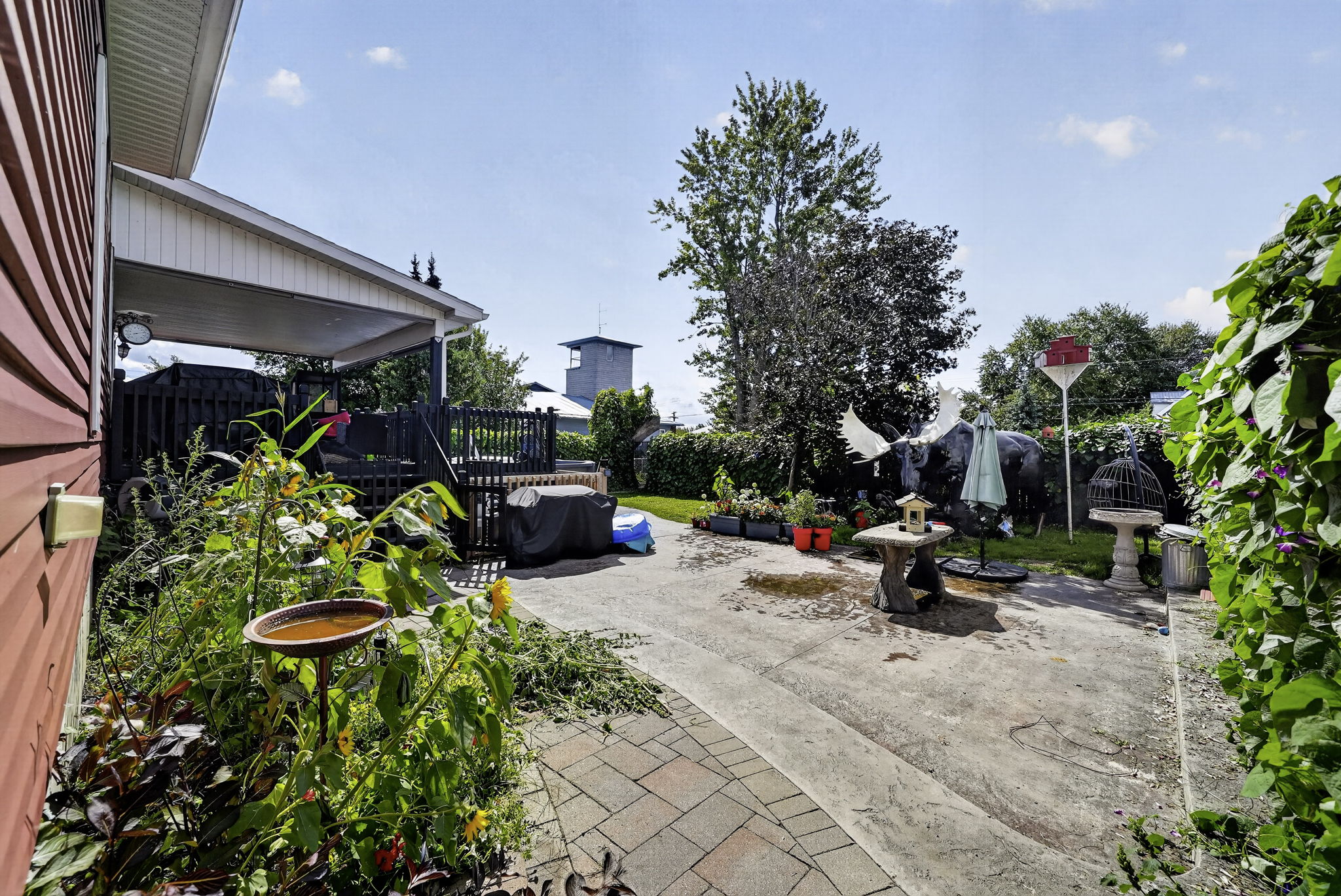  Photo 36