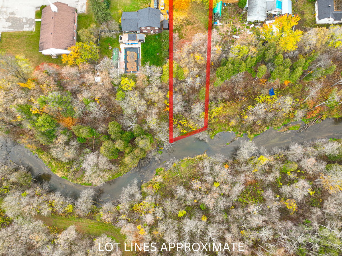 Highway 89, Alliston, ON Cassidy & Joe Real Estate