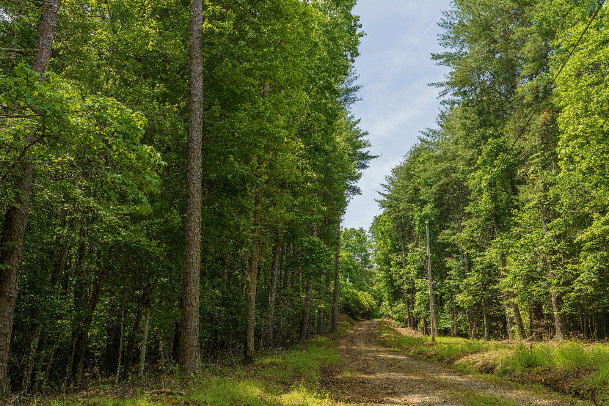 View from Holly Ridge Lane, land on left