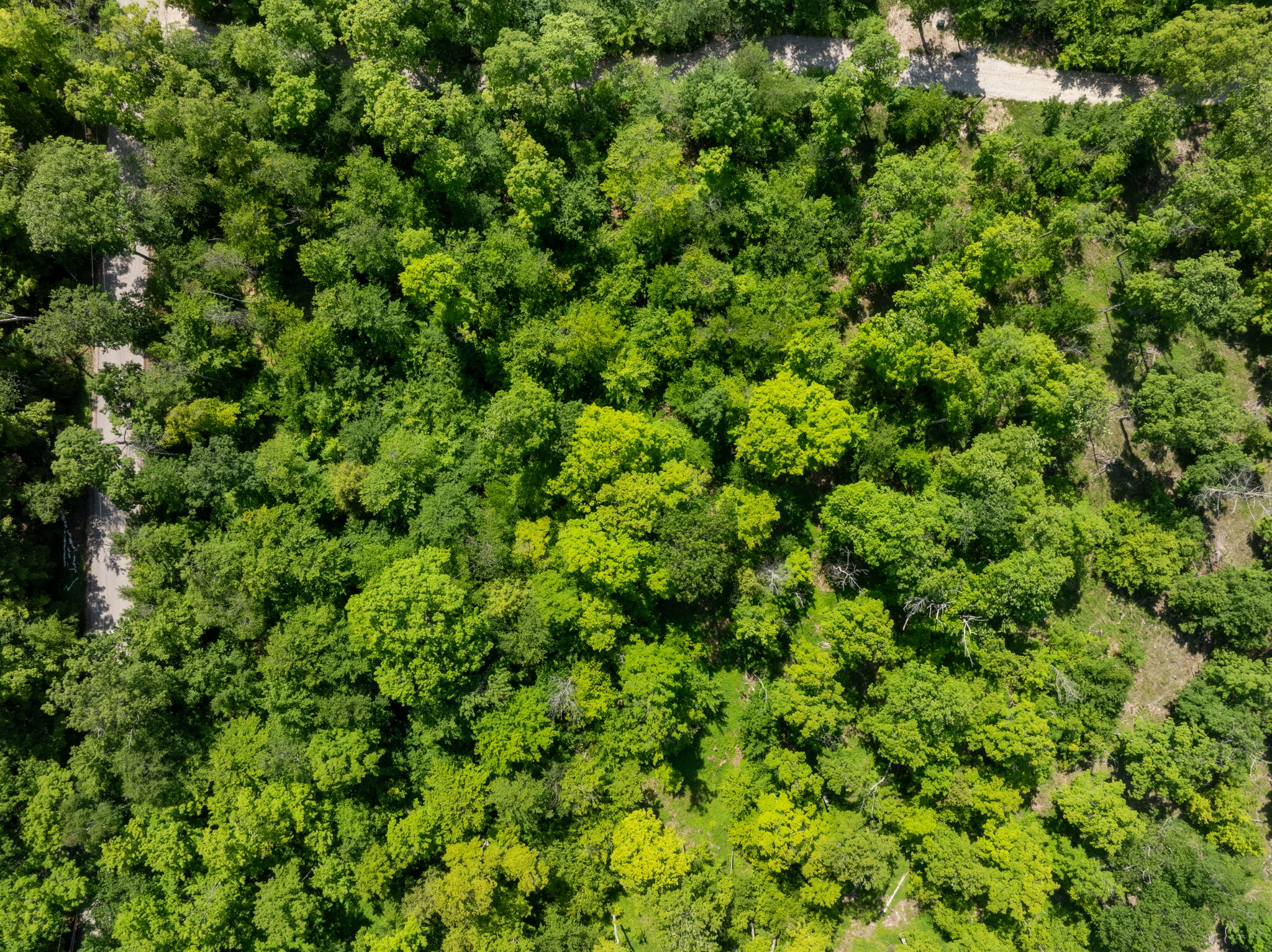 Isle View Road Vacant Land Gills Rock Wisconsin-4