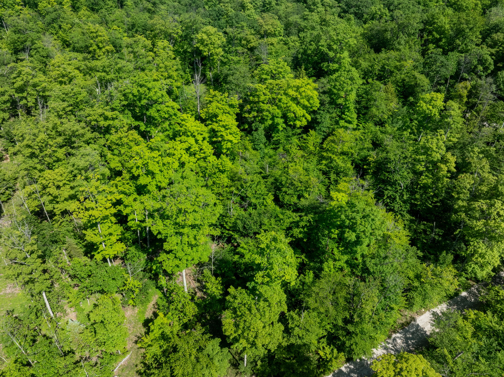 Isle View Road Vacant Land Gills Rock Wisconsin-8
