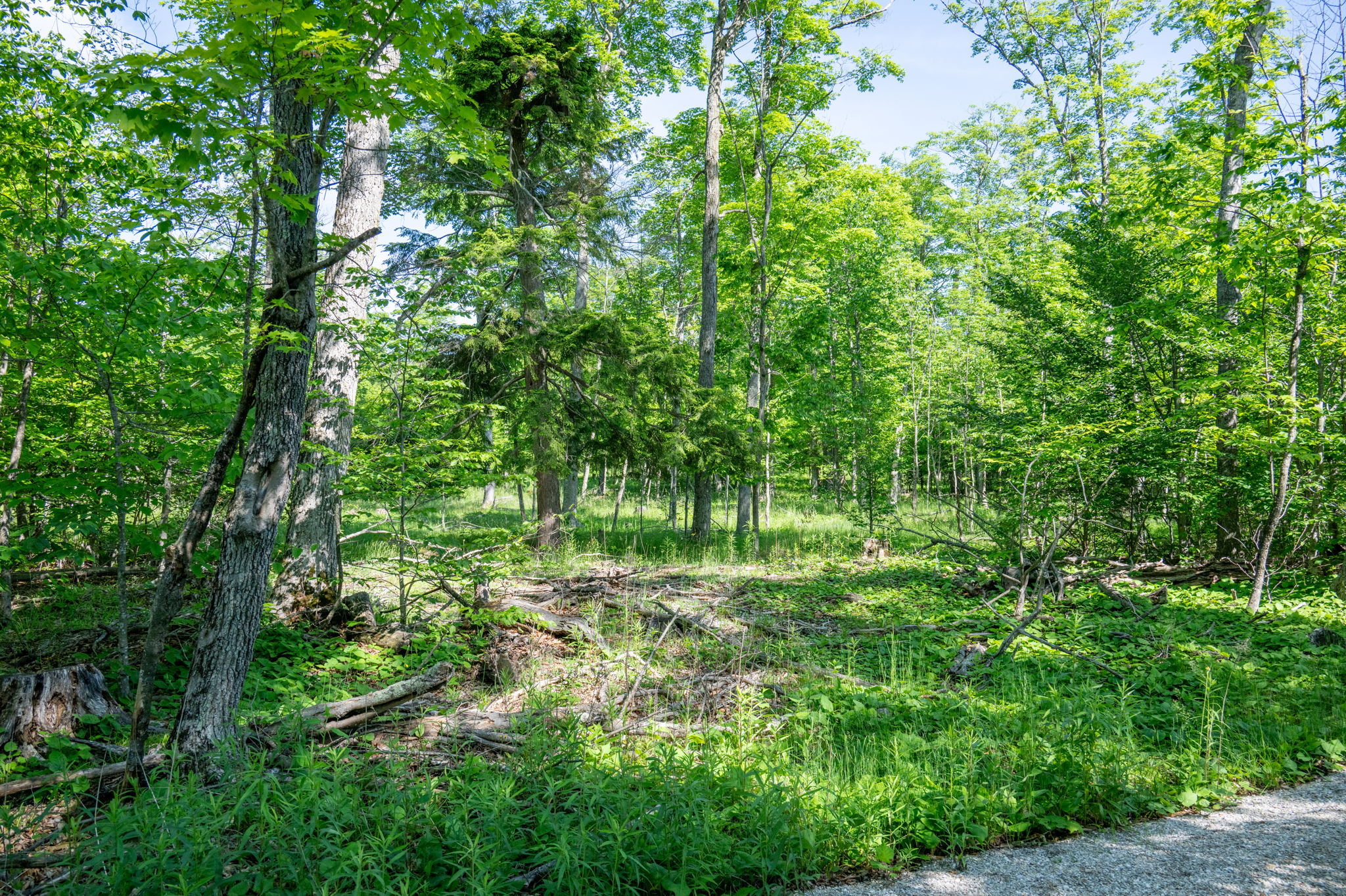 Isle View Road Vacant Land Gills Rock Wisconsin-17