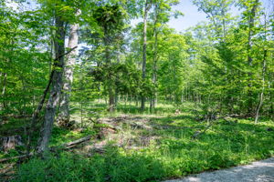 Isle View Road Vacant Land Gills Rock Wisconsin-17