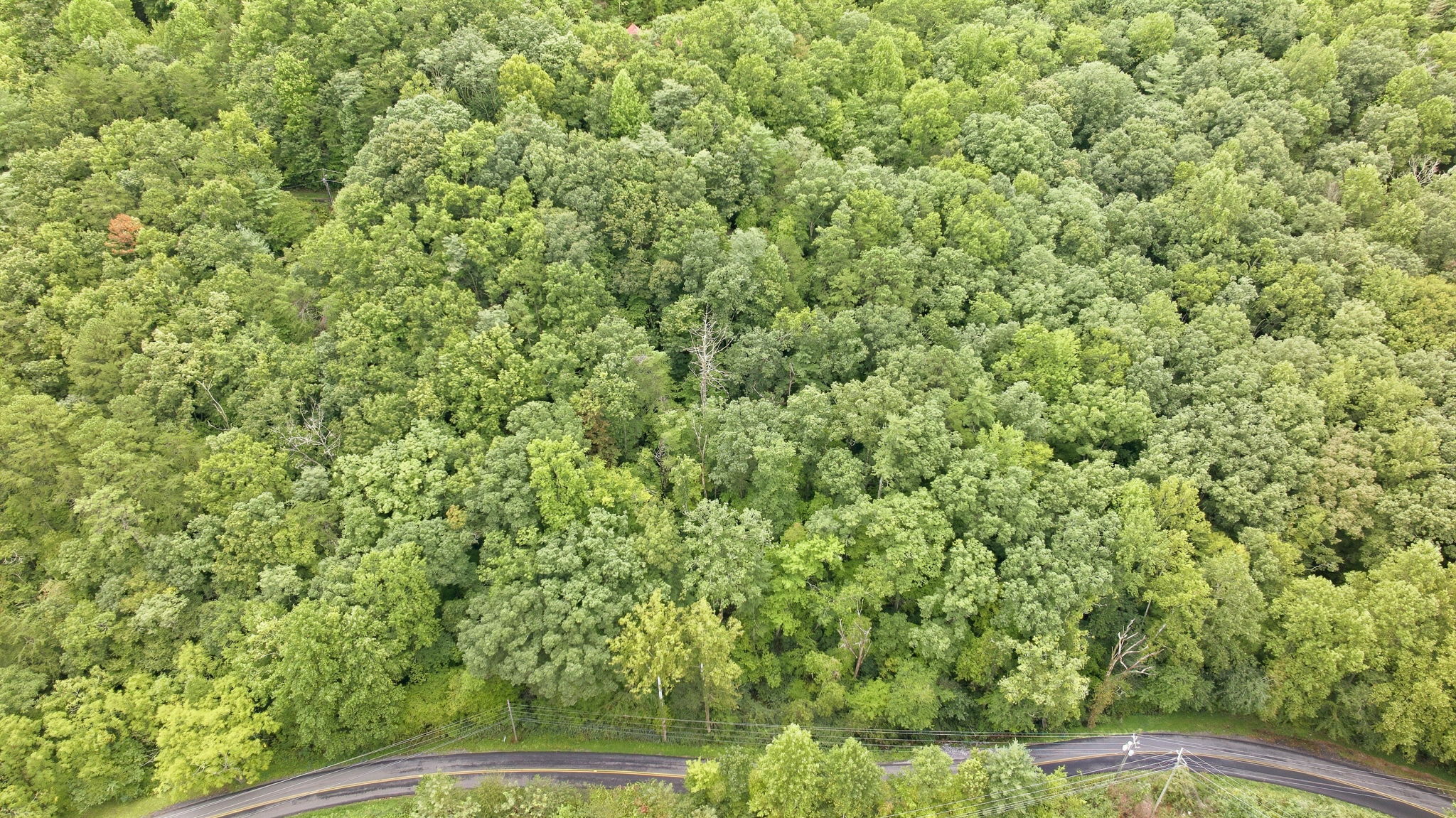 Image-6