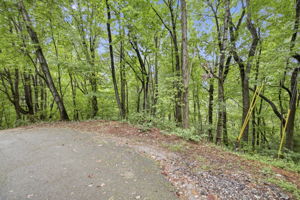 Image-1