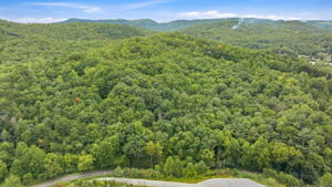 Image-12