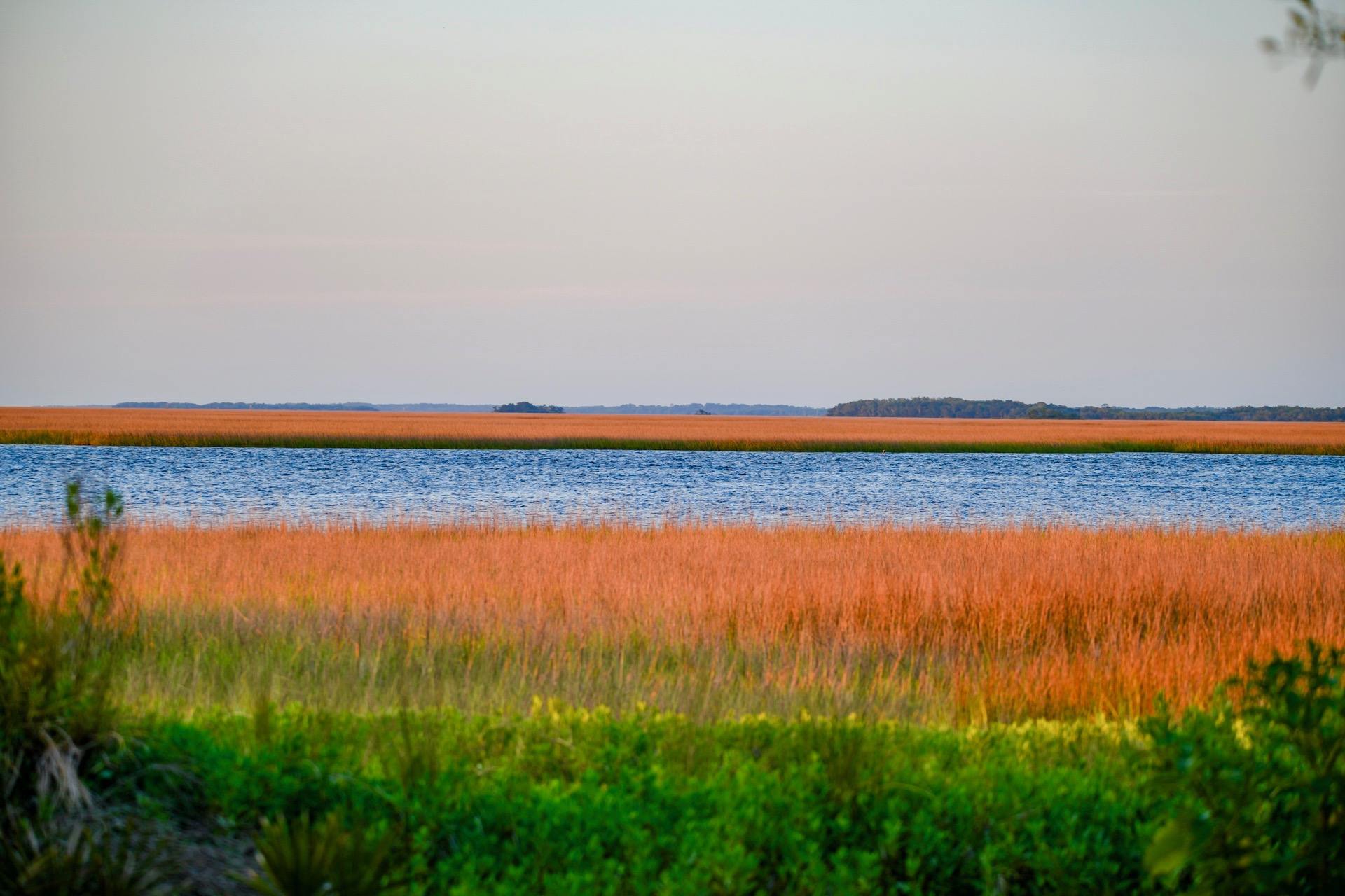 Marsh Water View North
