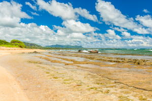 Kauai Beach Dr, Hawaii 96766, USA Photo 78