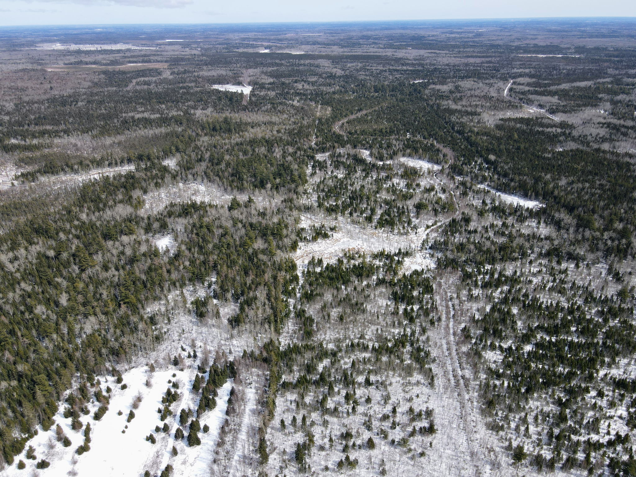 Kent Junction, NB E4Y 2J1 PROPICSTA & MeasureMySpace