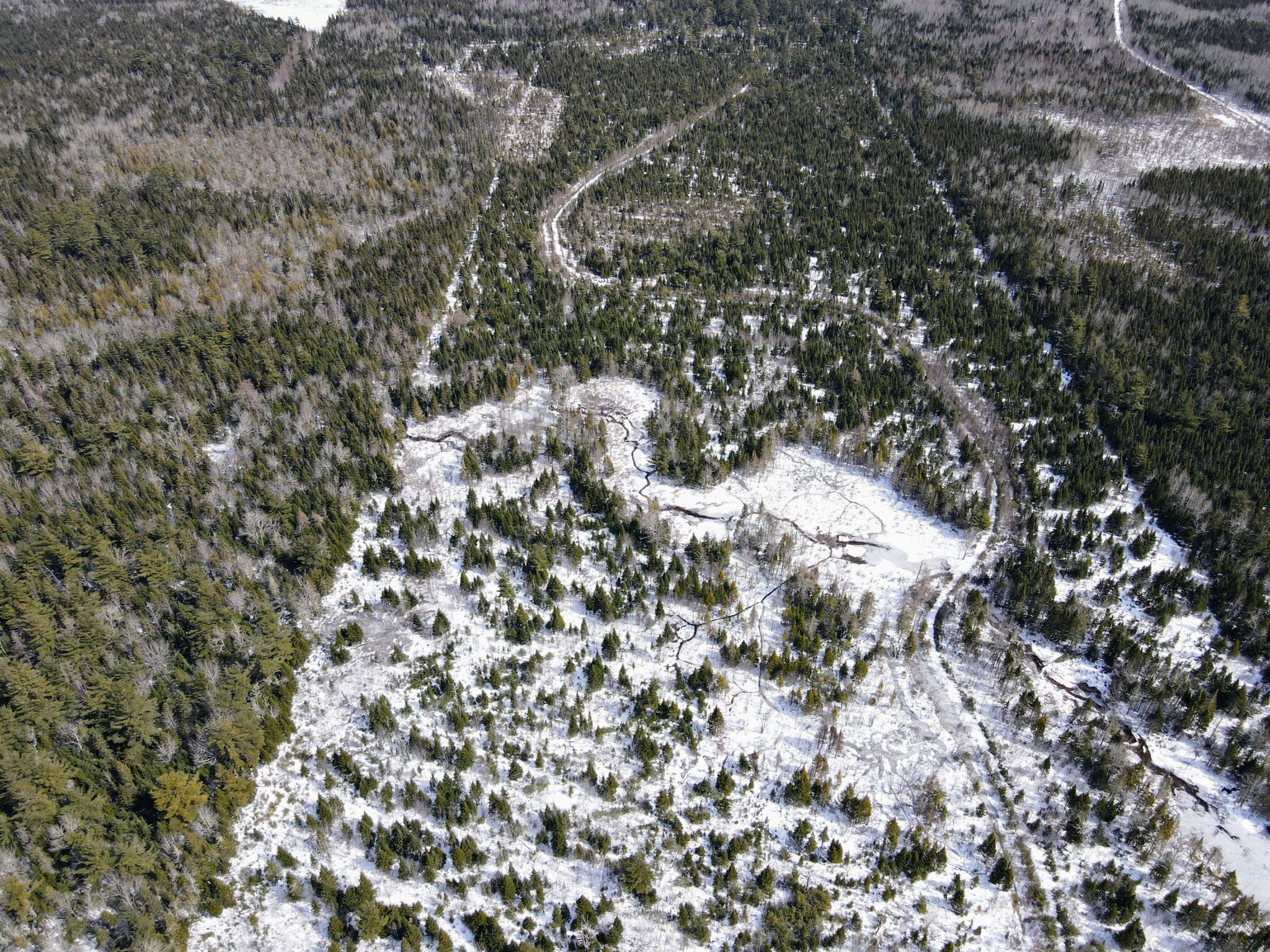 Kent Junction, NB E4Y 2J1 PROPICSTA & MeasureMySpace