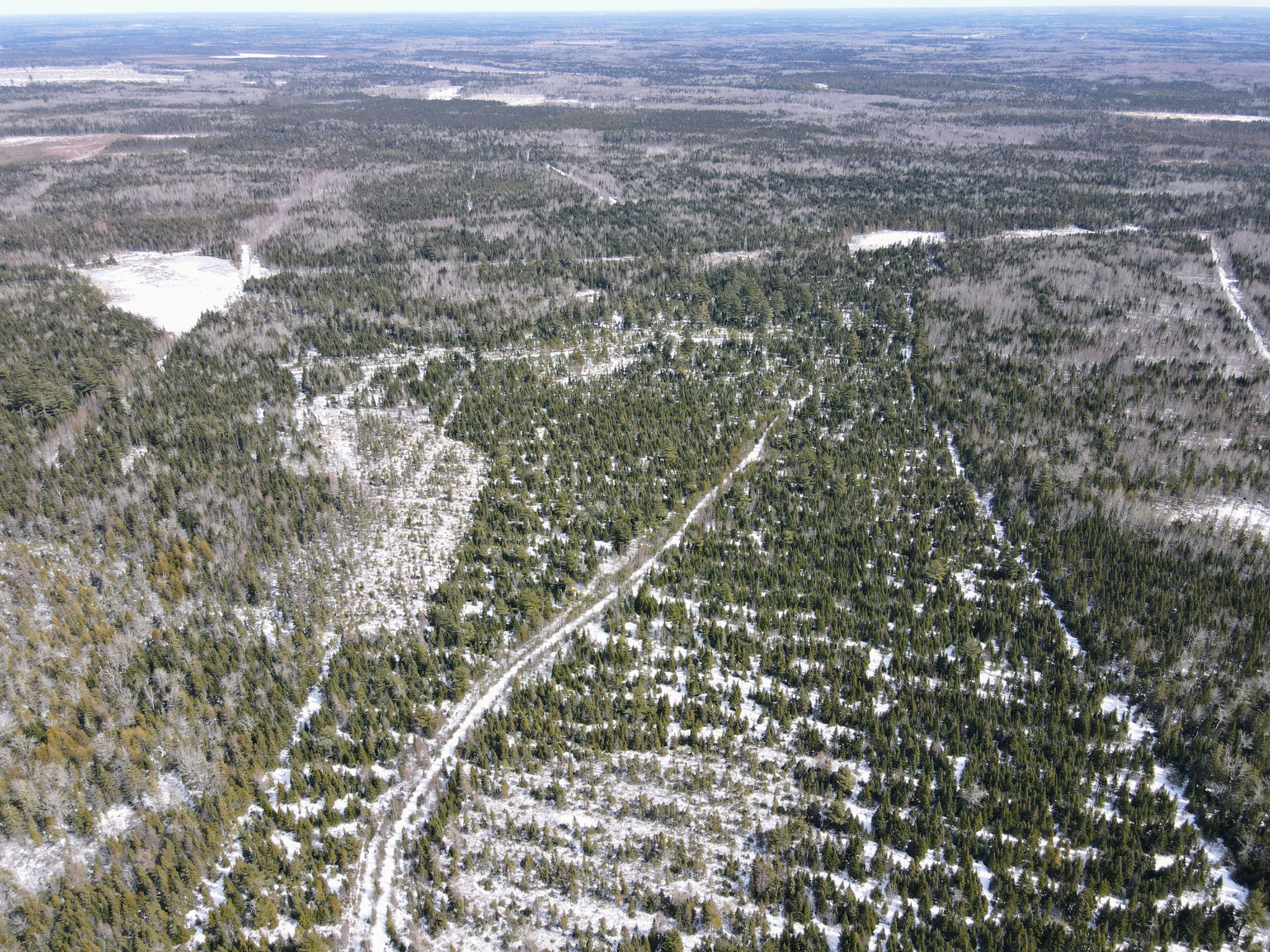 Kent Junction, NB E4Y 2J1 PROPICSTA & MeasureMySpace