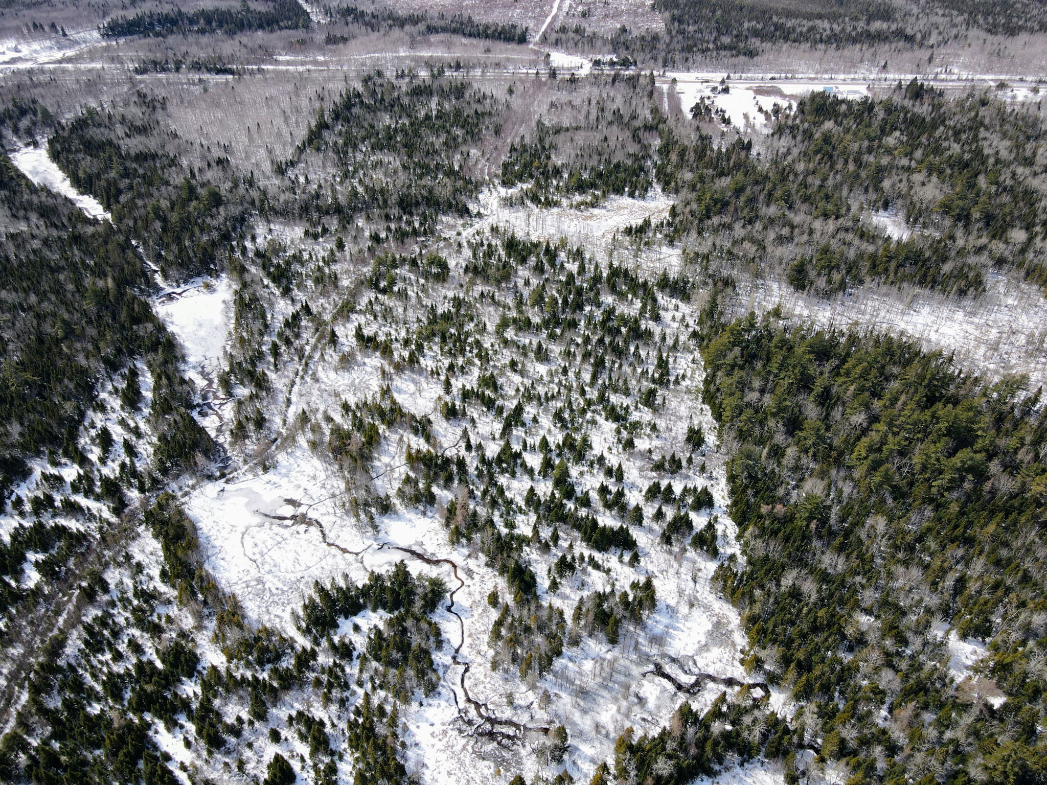 Kent Junction, NB E4Y 2J1 PROPICSTA & MeasureMySpace