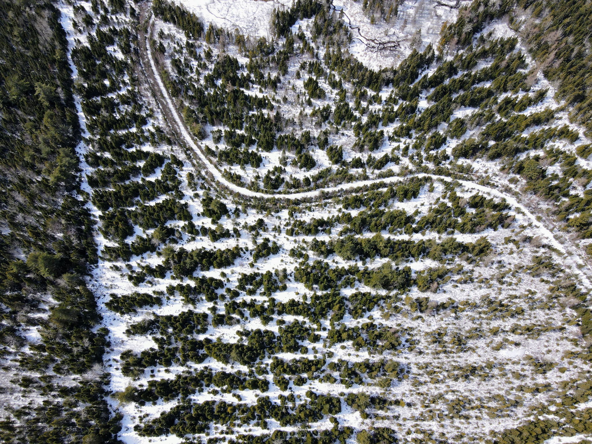 Kent Junction, NB E4Y 2J1 PROPICSTA & MeasureMySpace