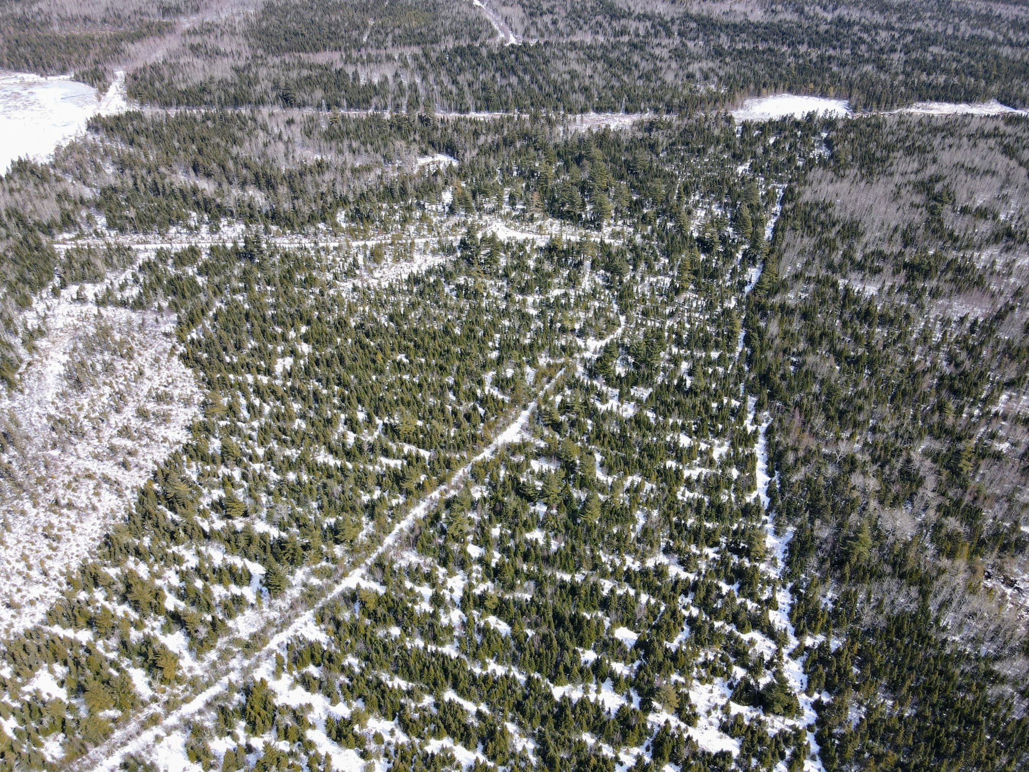 Kent Junction, NB E4Y 2J1 PROPICSTA & MeasureMySpace