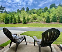 Serene green space in back