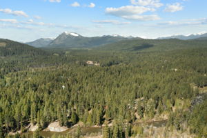  Photo 0