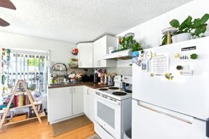  Photo 45