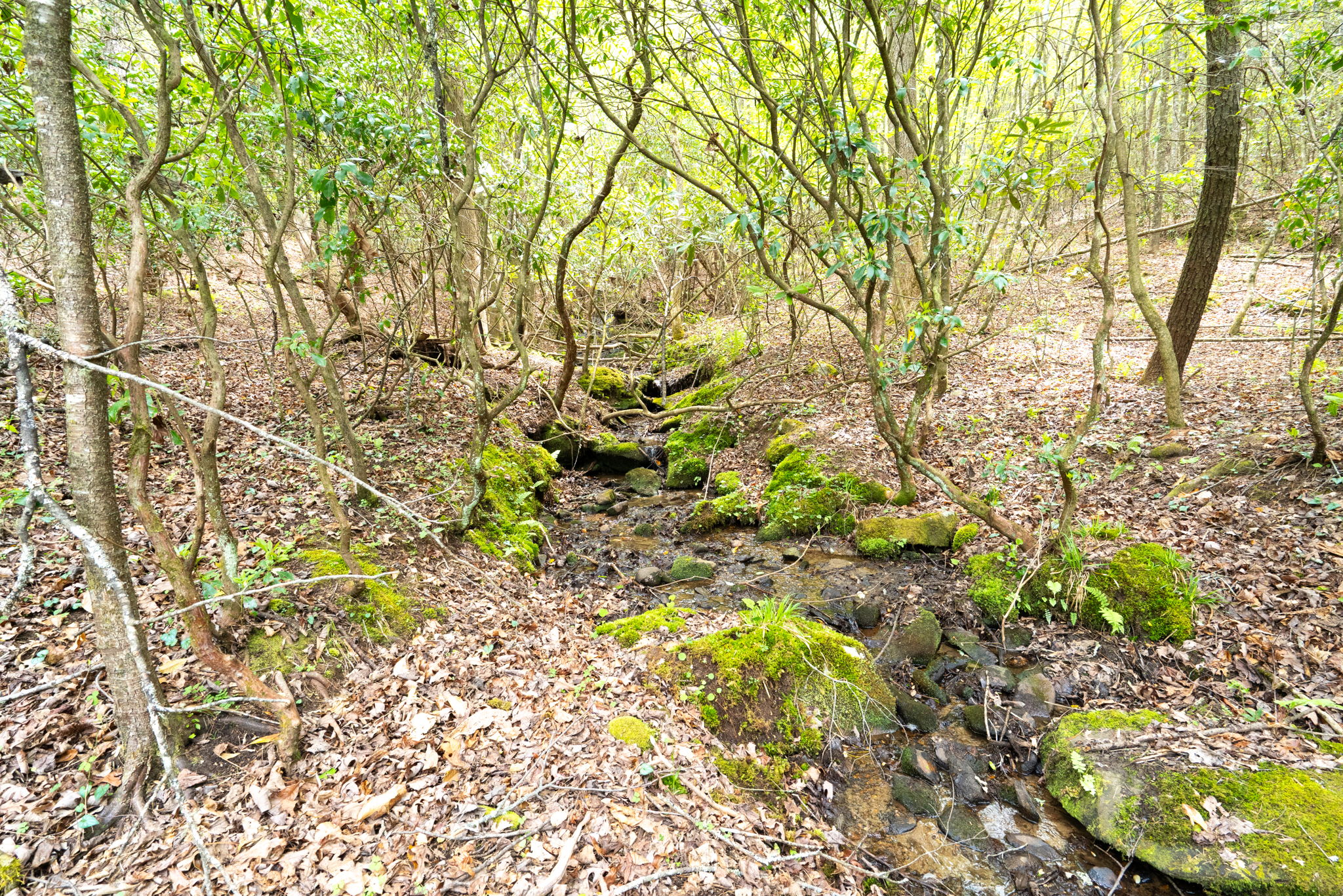 Photo 30